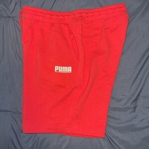 Men Puma Shorts